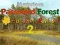 Mysterious Password Forest Autumn Edition 2 เกมออนไลน์