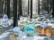 Winter Wonderland Forest Adventure เกมออนไลน์