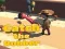 Catsh the robber เกมออนไลน์