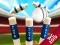 Mini Cricket: Ground Championship World Cup 2019 เกมออนไลน์