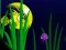 Flash Fish Freddie เกมออนไลน์