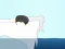Learn To Fly เกมออนไลน์