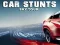 Car Stunts Sky Tour เกมออนไลน์