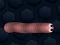 Math Slither เกมออนไลน์