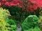 Maple Leaf Garden Escape เกมออนไลน์