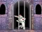 Victory Rabbit Escape เกมออนไลน์