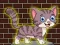 Loveable Small Cat Escape เกมออนไลน์