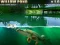 Willow Pond เกมออนไลน์