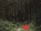 Dense Forest Deer Escape เกมออนไลน์