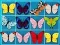 King Of Mahjong เกมออนไลน์