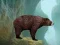 Caged Tiger Cub Escape เกมออนไลน์