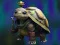 Isolated Turtle Escape เกมออนไลน์