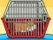 Rescue The Hamster From Cage เกมออนไลน์