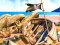 Pirate Mysteries เกมออนไลน์
