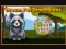 Dream Pet Dimensions เกมออนไลน์