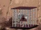 Rescue The Emu From Cage เกมออนไลน์