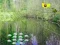 Sunlight Forest Adventure เกมออนไลน์