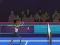 Badminton Brawl เกมออนไลน์