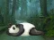 Wakeup The Sleeping Panda เกมออนไลน์