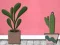 Find Houseplant เกมออนไลน์