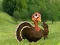 Ready To The Thanksgiving Party เกมออนไลน์