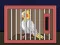 Release The Cockatiel Bird เกมออนไลน์