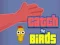 Catch the Birds เกมออนไลน์
