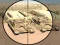 Camo Sniper เกมออนไลน์