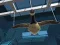 Goose Museum เกมออนไลน์