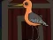 Cute Godwit Escape เกมออนไลน์