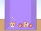 Evolution of Cat Memes เกมออนไลน์