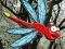 Escape From Dragonfly Forest เกมออนไลน์