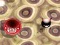 Bouncing Blob เกมออนไลน์