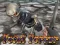 Total Terror เกมออนไลน์