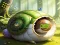 Rescue The Fantasy Snail เกมออนไลน์
