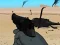 Weapon เกมออนไลน์