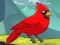 Rescue The Northern Cardinal เกมออนไลน์
