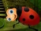 Rescue The Couple Bug เกมออนไลน์