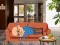 Wakeup The Grandpa เกมออนไลน์