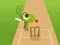 Doodle Cricket เกมออนไลน์