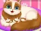 Cute Kitty Pregnant เกมออนไลน์