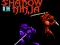 Shadow of the Ninja เกมออนไลน์