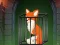 Fox in the Forgotten Ruins เกมออนไลน์