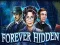 Forever Hidden เกมออนไลน์
