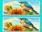 Spot the Difference The Garden เกมออนไลน์
