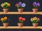 Good Flower Master เกมออนไลน์