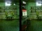 Robot Bar Spot the differences เกมออนไลน์
