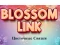 Blossom Link เกมออนไลน์
