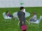 Millionaire Simulator 2024 เกมออนไลน์