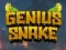 Genius Snake เกมออนไลน์